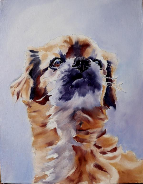 Retrato Canino